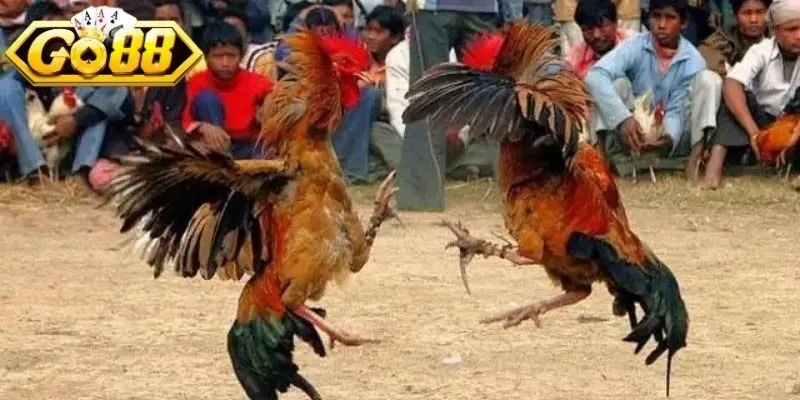 Theo dõi chi tiết từng chuyển động, đánh giá năng lực linh hoạt