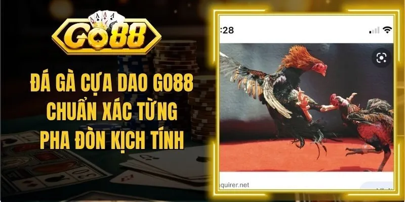 Đá Gà Cựa Dao Go88 Chuẩn Xác Từng Pha Đòn Kịch Tính