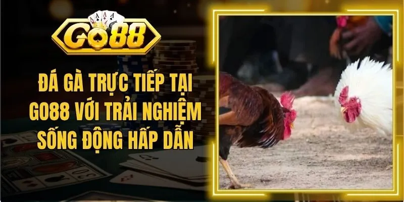Đá Gà Trực Tiếp Tại Go88 Với Trải Nghiệm Sống Động Hấp Dẫn